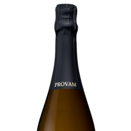 Espumante Castas de Monção Reserva Bruto 0,75L